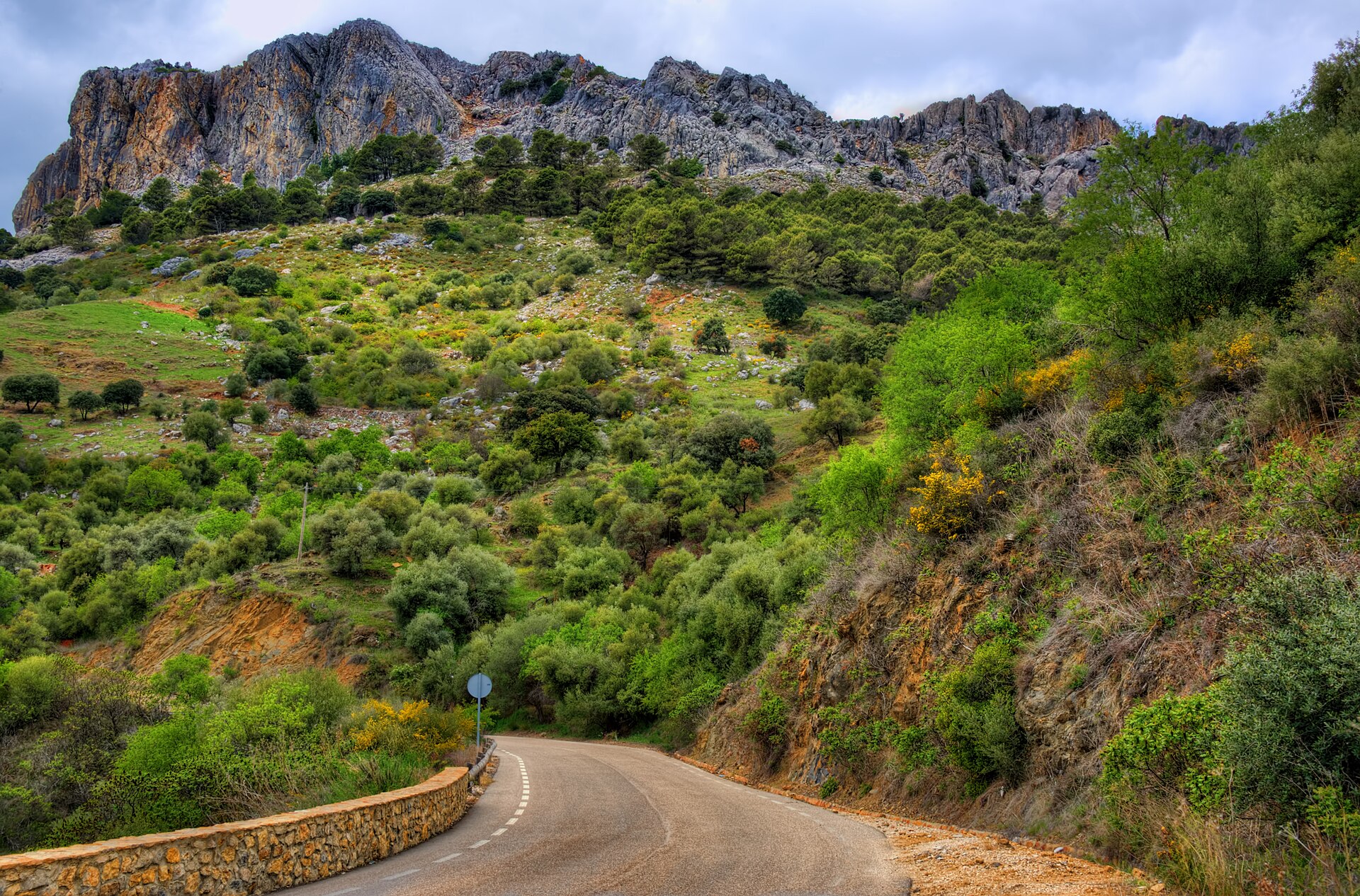 Road to the sierras (13868537355)