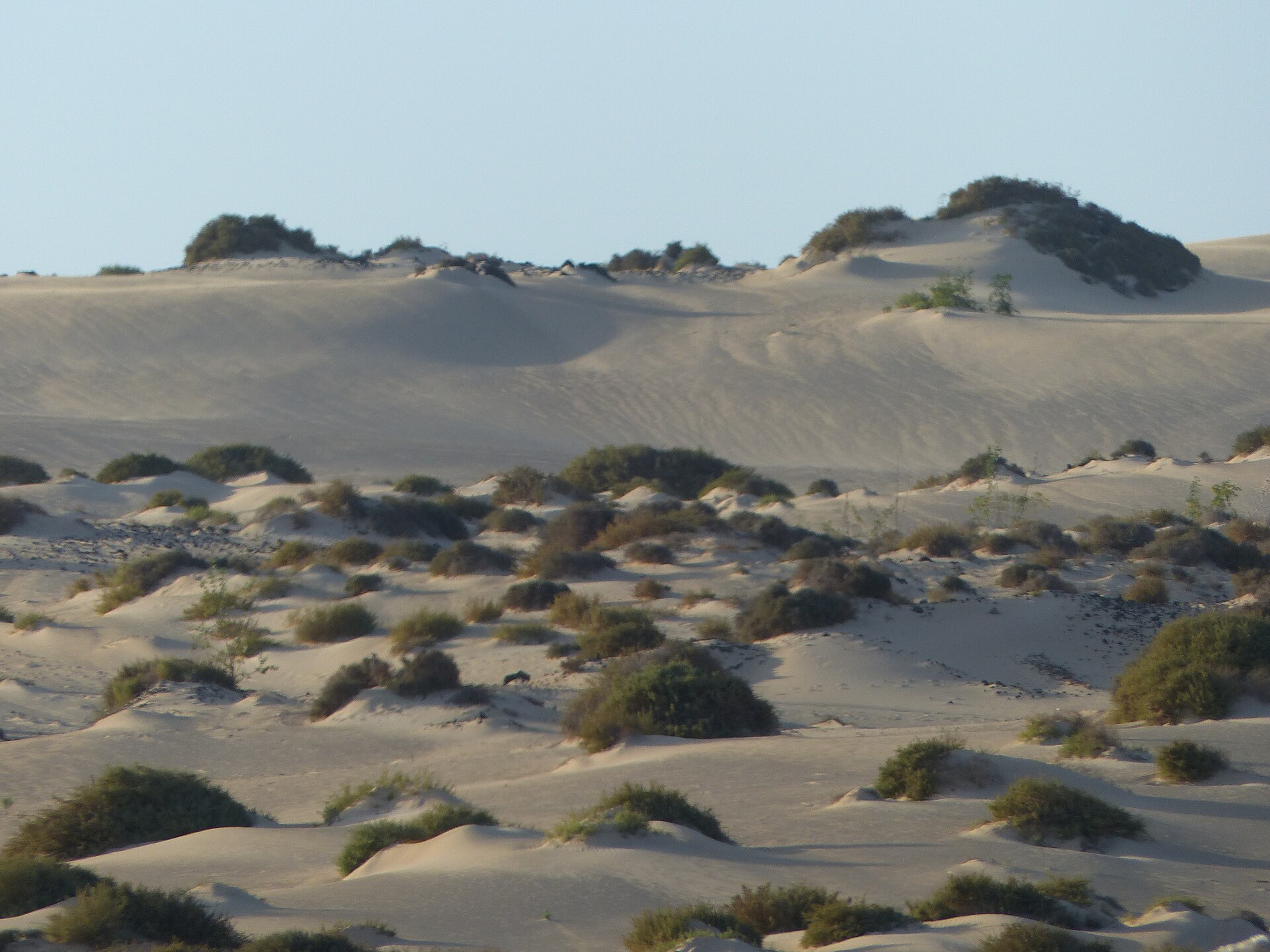 Arena, Dunas de Corralejo, Fuerteventura, España, 2015