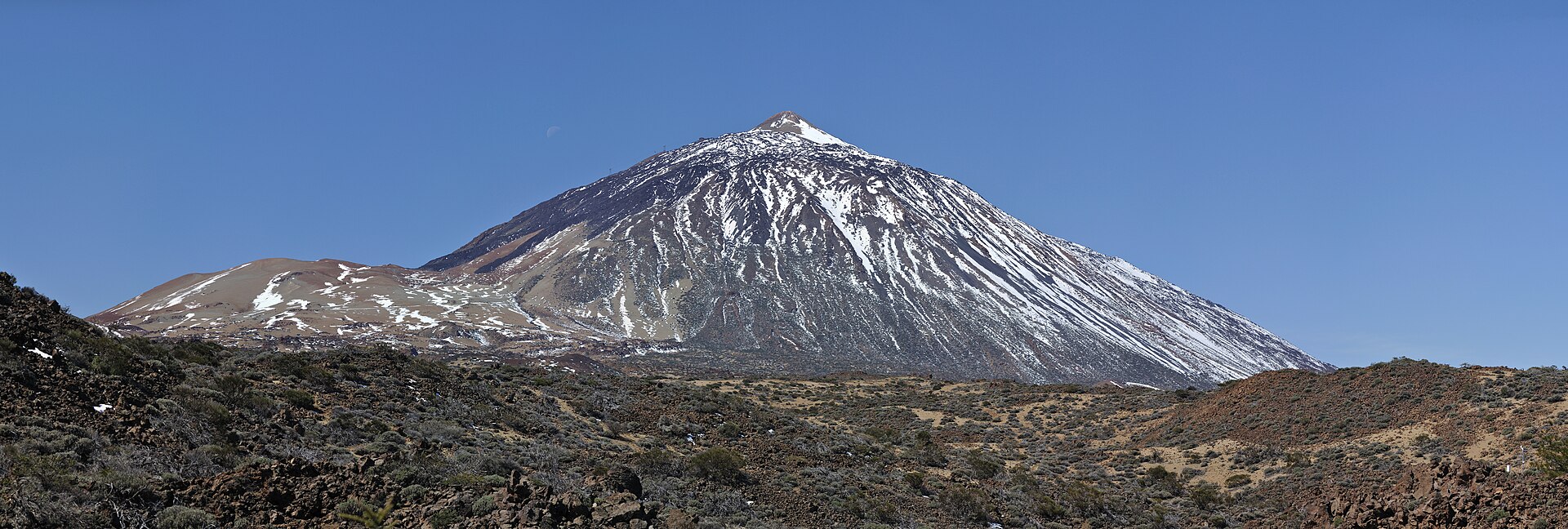 Teide qtl1